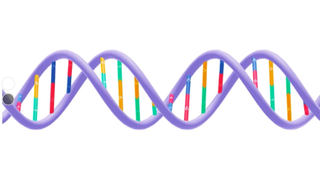 限制酶与DNA连接酶_火花学院