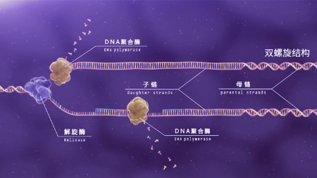 拉马克进化学说_火花学院